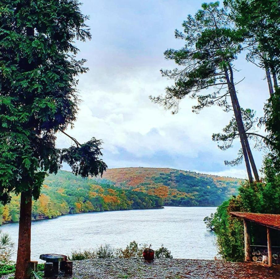 O Faya Cottage Votre Gite Calme Et Verdoyant En Bretagne Saint-Mayeux Екстериор снимка